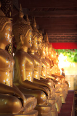 Many Buddha images in the temple