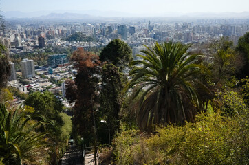 Fototapeta na wymiar Santiago de Chile panoramic city view from San Cristobal hill with lush foliage with palm trees and funicular road. Santiago, Chile