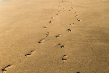 Fototapeta na wymiar Steps on the sand