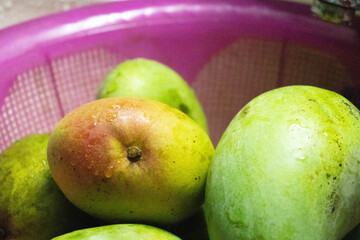 Delicious, Fresh and beautiful Mango, Tropical Fruits