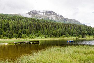 Fototapeta premium St. Moritz, Stazersee, Badesee, Bergsee, Lej da Staz, Holzsteg, Rosatschgruppe, Stazerwald, Pontresina, Oberengadin, Engadin, Alpen, Wanderweg, Sommer, Graubünden, Schweiz