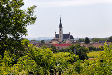 Fototapeta na wymiar Die Pfarrkirche von Dobermannsdorf im Weinviertel, Niederösterreich