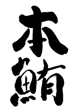 117 Best クロマグロ Images Stock Photos Vectors Adobe Stock