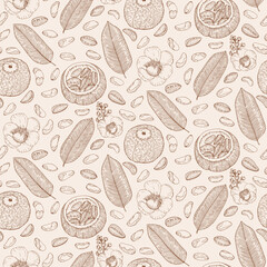 Brazil nut seed, leaves, flowers plant set. Hand drawn style. Retro vintage graphic design. Detailed botanical vector sketch for Organic Food, cosmetics component