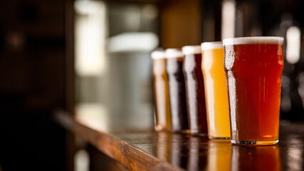 Degustation of beer. Many different types of craft drink in big glasses on table in pub interior