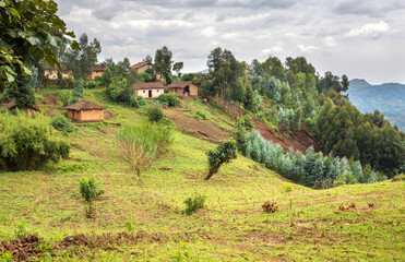 Rural landscape with houses and cultivated land on steep hills in Rwanda