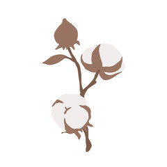 Cotton branch with buds. Cotton flower for wedding invitation, greeting card, label, logo, branding. Natural, eco, organic, softness, cleanliness, high quality concepts. Flat elegant illustration.