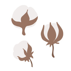 Cotton flowers and buds. Cotton flower for wedding invitation, greeting card, label, logo, branding. Natural, eco, organic, softness, cleanliness, high quality concepts. Flat