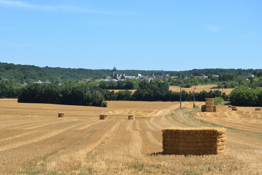 Paysage De Campagne Avec Vue Sur Fontevraud L'Abbaye