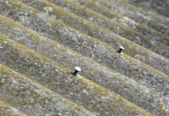 A close-up on old asbestos roof covered with moss and lichen with nails almost pulled out.
