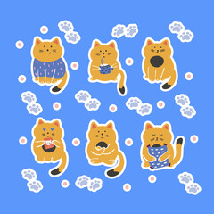 Set of vector stickers six cute cats on a blue background