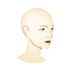 Woman face isolated on a white background. Model for cosmetic facial. Facial skin care.