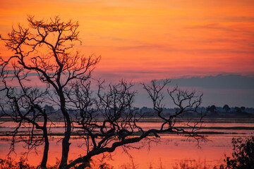 Sunset over the Chobe River in Chobe National Park in northern Botswana, Africa.