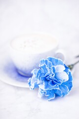 Coffee cappuccino and blue carnation flower on a white background, copy space