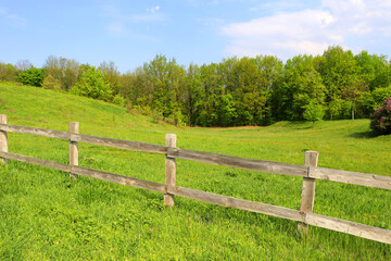 Fototapeta na wymiar wooden fence on green meadow