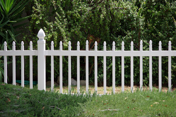 Close view of a section of a white picket fence with green bushes behind