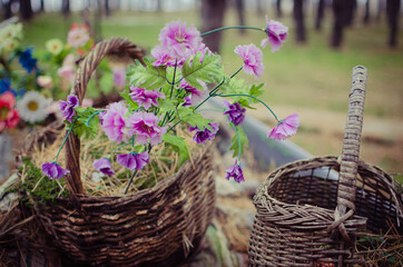 basket with lavender flowers