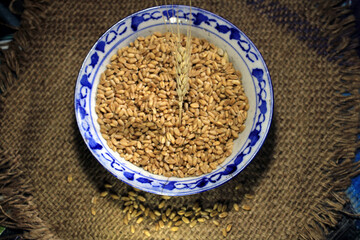 Pile of organic whole grain wheat. Fresh harvested wheat grain in a bowl isolated on wooden background. Wheat grains and wheat flour in wooden textured background. Food ingredient cereals concept.