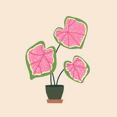 Caladium in ceramic flowerpot. Houseplant isolated. Trendy hugge style, urban decor. Hand drawn sketch, naive art. Print, poster, banner, wallpaper. Logo, label. Green, pink, yellow pastel colors