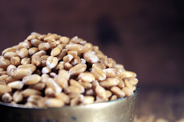 Pile of organic whole grain wheat. Fresh harvested wheat grain in a bowl isolated on wooden background. Wheat grains and wheat flour in wooden textured background. Food ingredient cereals concept.