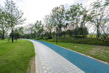 road in park