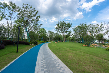 road in park