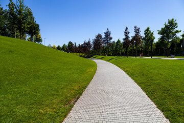 Walkway, lawn and trees in the park