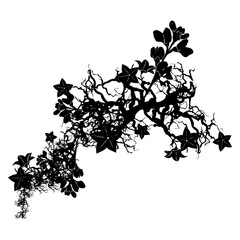 Vector floral silhouette vector design element