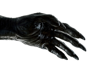 Creepy monster hand isolated on white background with clipping path