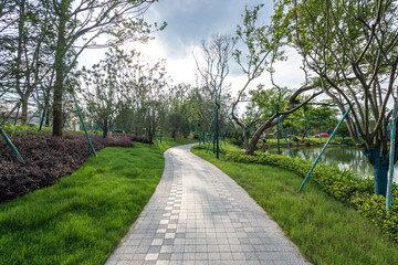 road in park