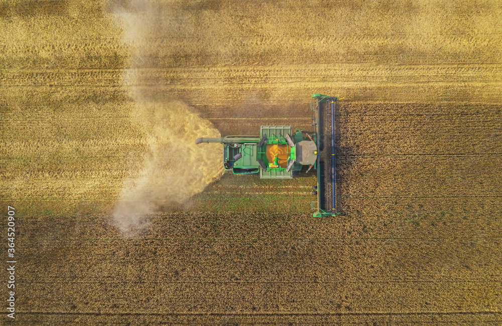 Poster combine harvester working on a wheat field.