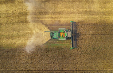 Fototapeta na wymiar Combine harvester working on a wheat field.