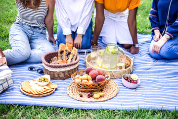 Young multiracial women are on picnic in the park.
