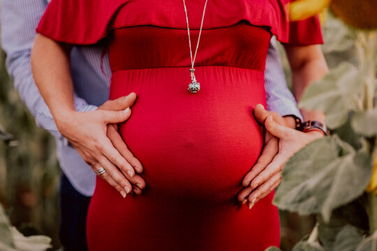 Pregnancy Photo Session With A Belly And Hands Of Mother And Father