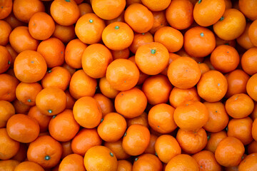 Lots of orange tangerines texture