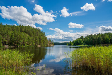 Marvikarnas Nature Reserve