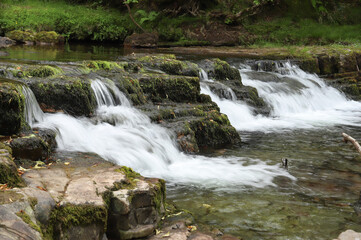 small waterfall in the forest