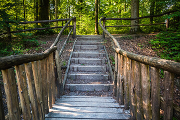 The staircases in the park surrounded by trees