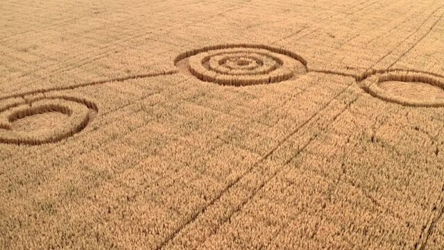 Fake UFO circles on grain crop yellow field, aerial view from drone. Round geometry shape symbols as alien signs, mystery concept