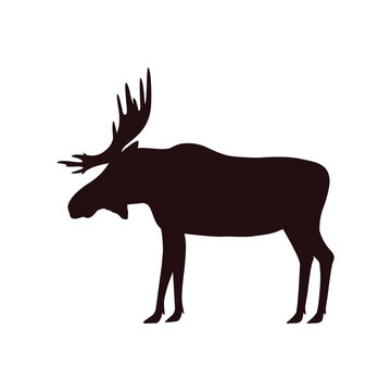 elk with horns, male. vector illustration.