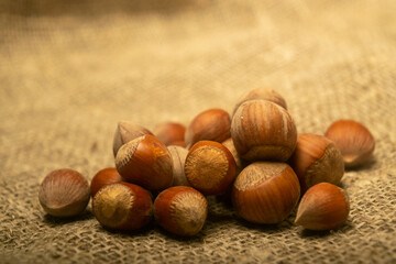 Hazelnut scattered on the background of burlap with a rough texture. Close up.