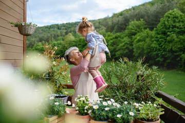 Senior grandmother with small granddaughter gardening on balcony in summer.