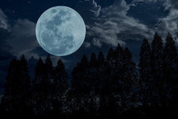 Fototapeta na wymiar Full moon over silhouette trees at night.