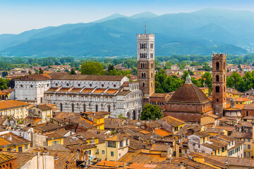 Fototapeta na wymiar A view across the roof tops towards the St Martin Cathedral in Lucca, Italy in summer