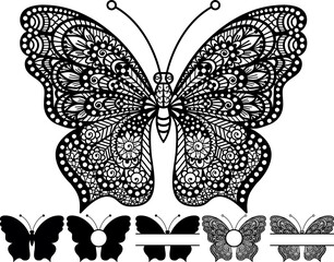 Patterned Butterfly