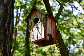 an old and rotten birdhouse in the woods