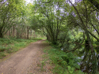 Path next to calm river in nature. Green walking trail in Alvaraes Forest next to Neiva River in Alvaraes Parish Council, Viana do Castelo, Portugal, Europe.