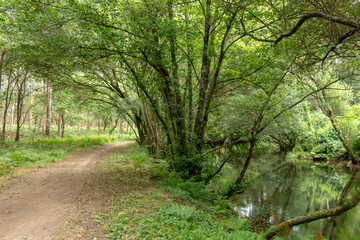 Path next to calm river in nature. Green walking trail in Alvaraes Forest next to Neiva River in Alvaraes Parish Council, Viana do Castelo, Portugal, Europe.