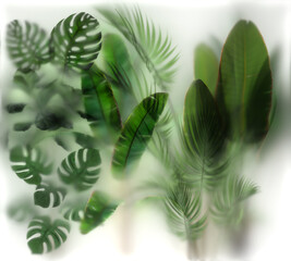 Plants behind the Glass with backlight, 2.8x 2.5(h) meters layout ready for print on thin film....