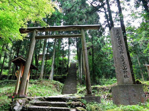 The torii gate of Sahimeyama Shrine (石見銀山佐毘売山神社) inside the "Iwami Ginzan" Silver Mine and its Cultural Landscape Area in Oda City, Shimane Prefecture, JAPAN